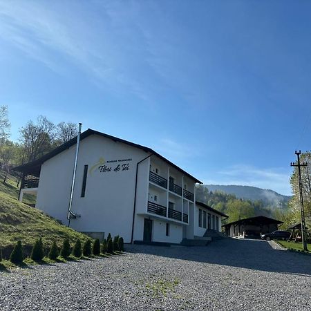 Flori De Tei Maramures Săcel Екстериор снимка