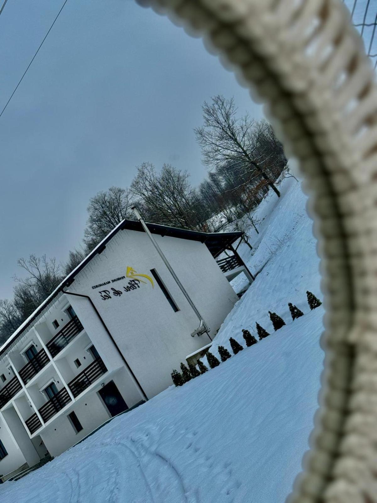 Flori De Tei Maramures Săcel Екстериор снимка