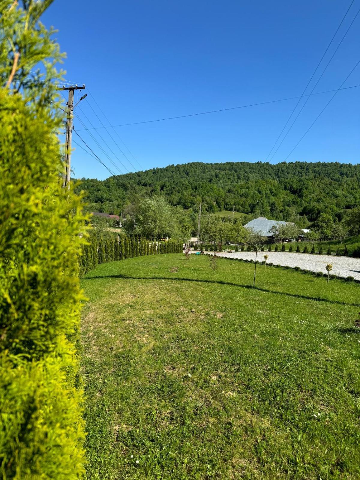 Flori De Tei Maramures Săcel Екстериор снимка